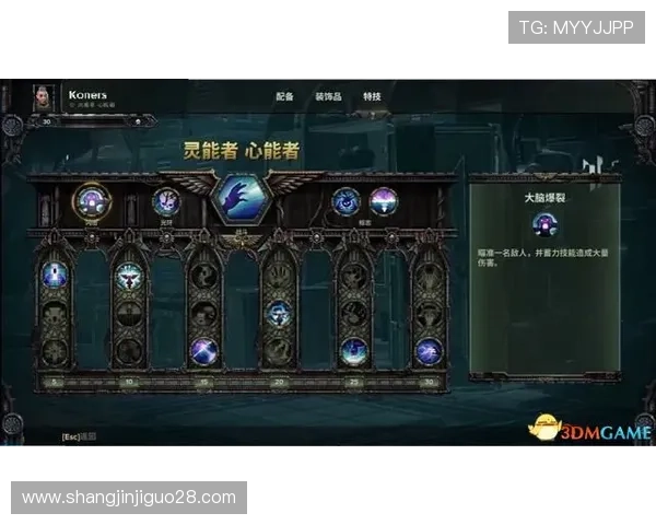 PG南宫从28级起的技能加点方案与装备推荐全面解析