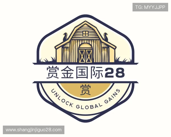 认识赏金国际28